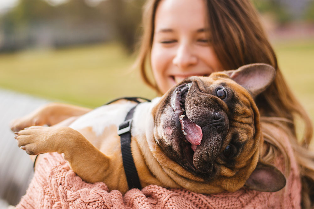 6 Must-Have Products for New Pet Parents