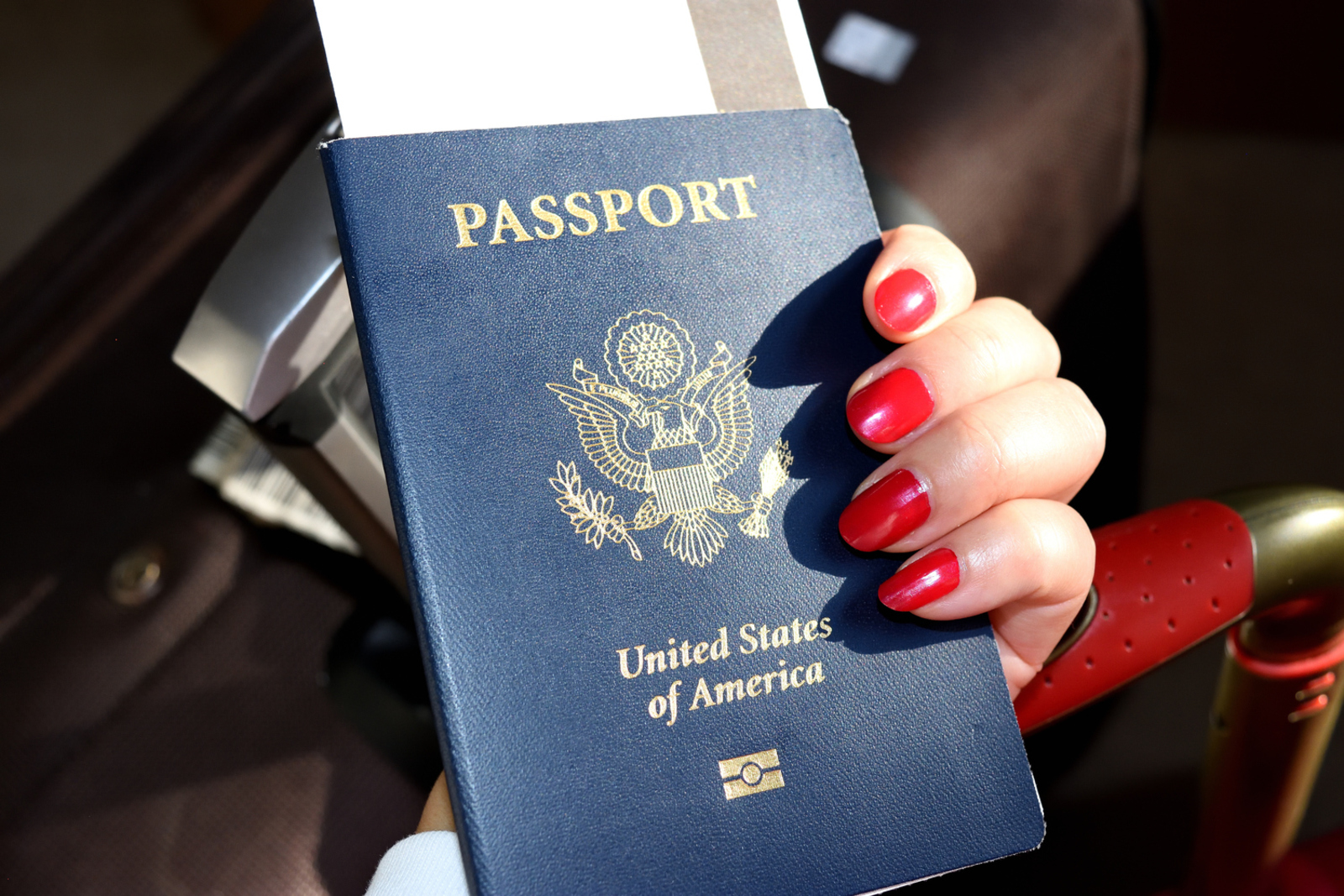 6 Things A Birth Certificate is Needed For