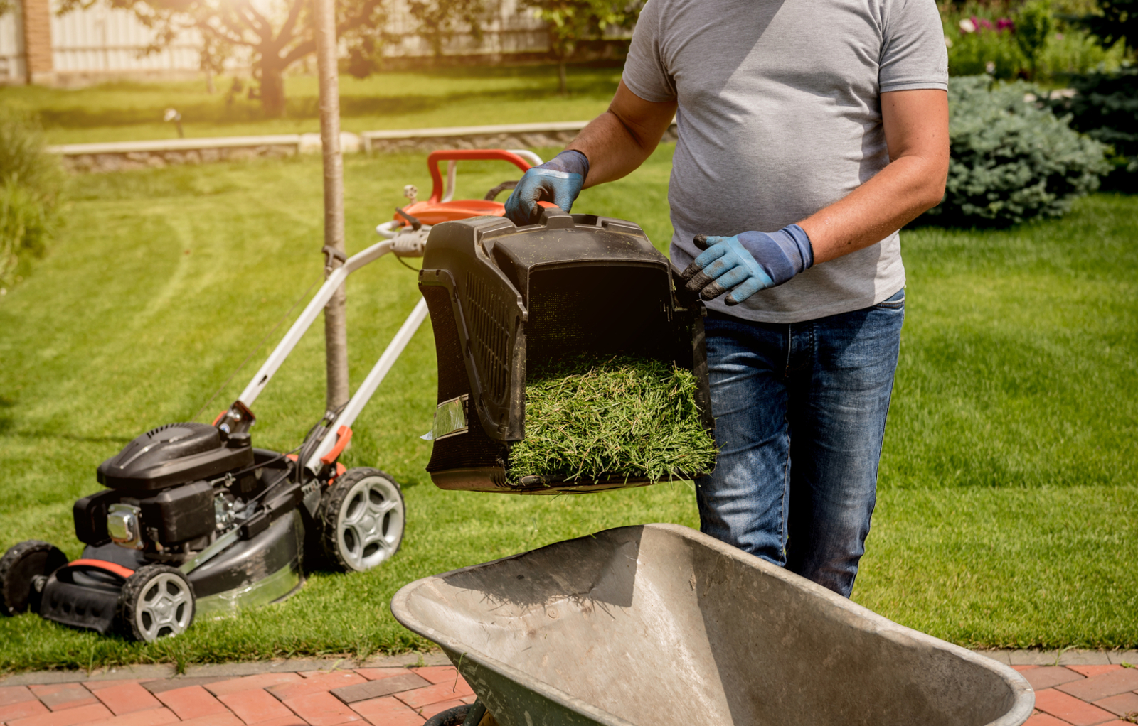 7 Genius Lawn Care Hacks That Really Work